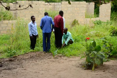 DSC_9296 (Large).JPG